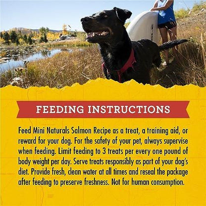 Zuke’s Mini Naturals Dog Training Treats for Dogs of All Sizes, Pet Treats made with Real Salmon, 16 oz. Resealable Pouch