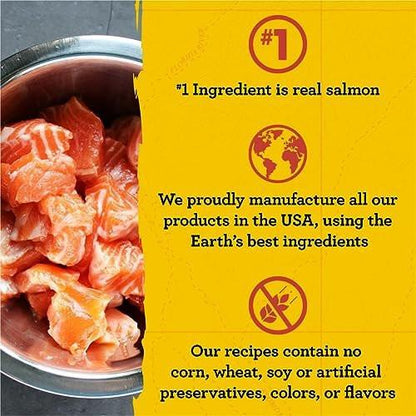 Zuke’s Mini Naturals Dog Training Treats for Dogs of All Sizes, Pet Treats made with Real Salmon, 16 oz. Resealable Pouch