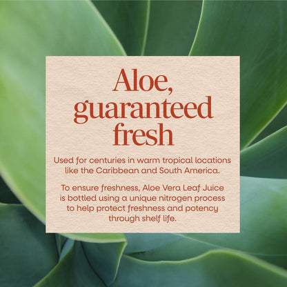 Nature’s Way Aloe Vera Leaf Juice, Flavorless Juice 99.5% Purified from Concentrate, Certified by The International Aloe Science Council, Unflavored, 33.8 Fl Oz