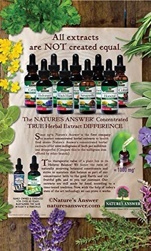 Nature's Answer Schisandra Berry Extract - Alcohol Free, Gluten Free, Stress, Fatigue, Relaxing Support - Made in USA - Adrenal Support Supplements for Everyone - görsel 4