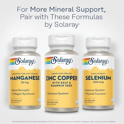 SOLARAY Vitamin B Complex Orange Chewables - High Potency B Complex Vitamins w/VIT B12, B6, B2, Biotin, Folic Acid, Vitamin C, Cellular Energy, Cardiovascular Support, Vegan, Gluten Free, 50 Servings