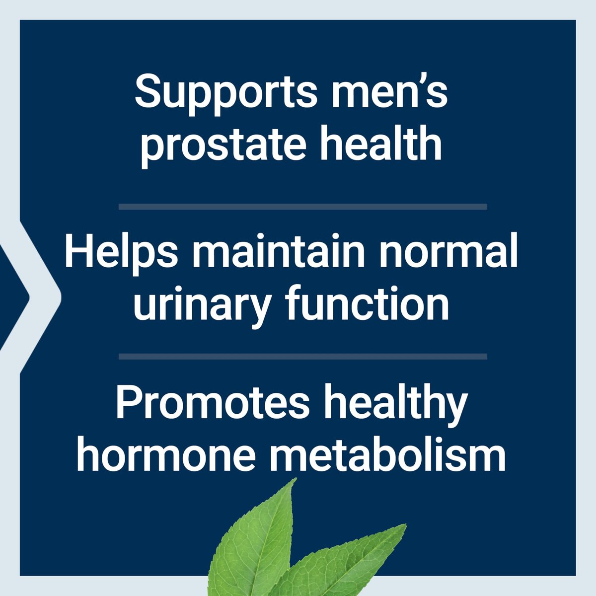 Life Extension PalmettoGuard Saw Palmetto & Beta-Sitosterol – Supports Healthy Prostate Function & Hormone Metabolism Health – Supplements for Men - Gluten-Free, Non-GMO – 30 softgels - görsel 8