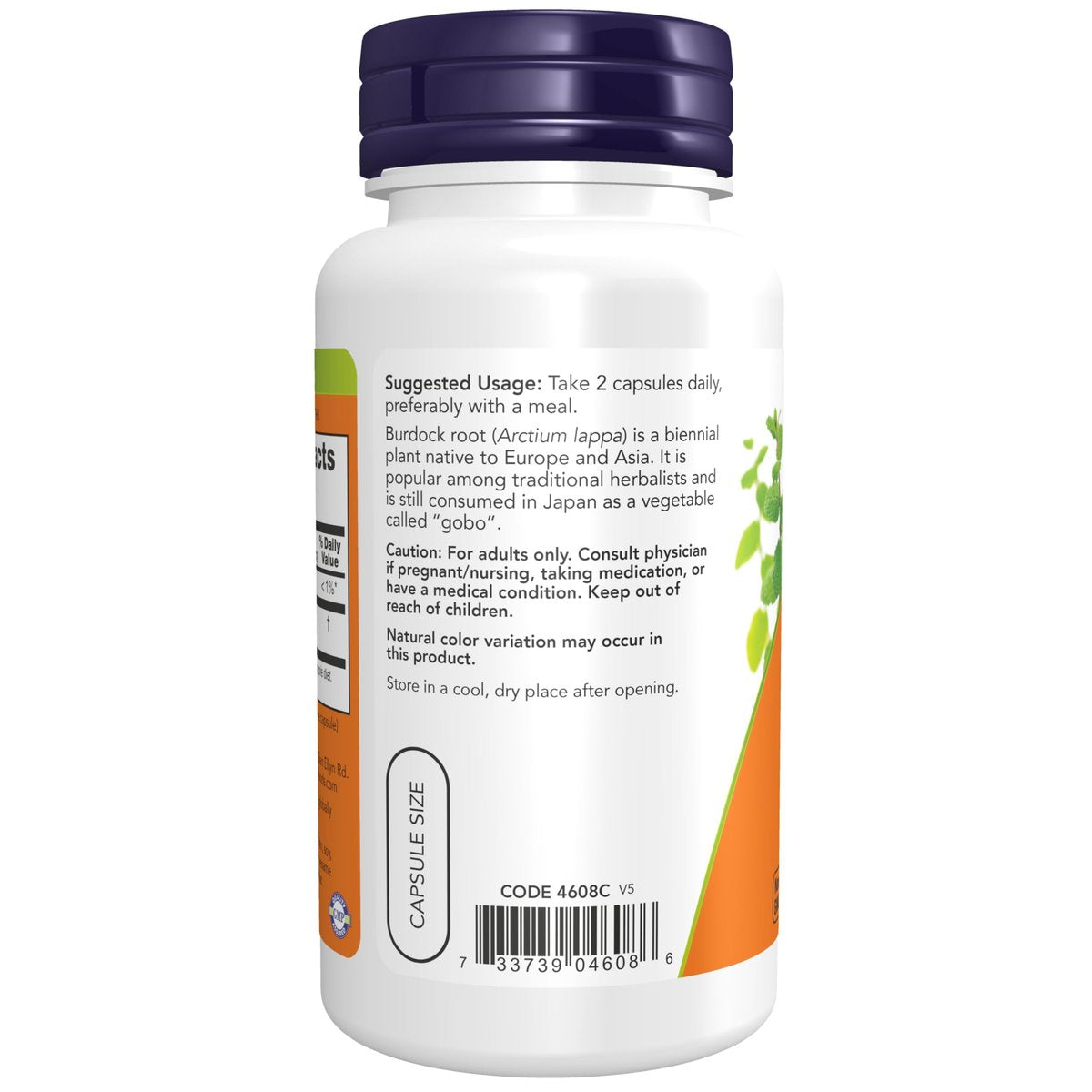 NOW Supplements, Burdock Root (Arctium lappa) 430 mg, Herbal Supplement, 100 Veg Capsules - görsel 2