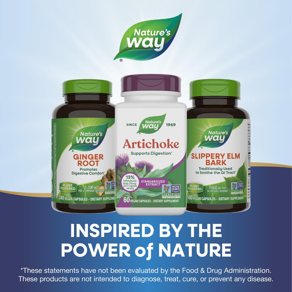 Nature's Way Artichoke, Digestion Support*, Non-GMO Project Verified, Vegan, Gluten-Free, 60 Capsules (Packaging May Vary) - görsel 9