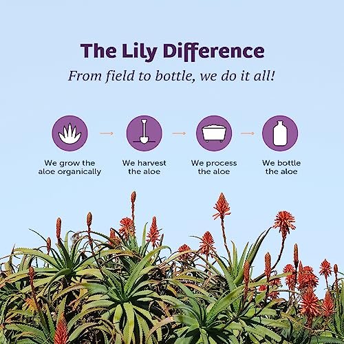 Lily Of The Desert Aloe Vera Juice - Inner Fillet Aloe Vera Drink, Organic Aloe Juice with Natural Vitamins, Digestive Enzymes for Gut Health, Stomach Relief, Wellness, Glowing Skin, 32 Fl Oz - görsel 16