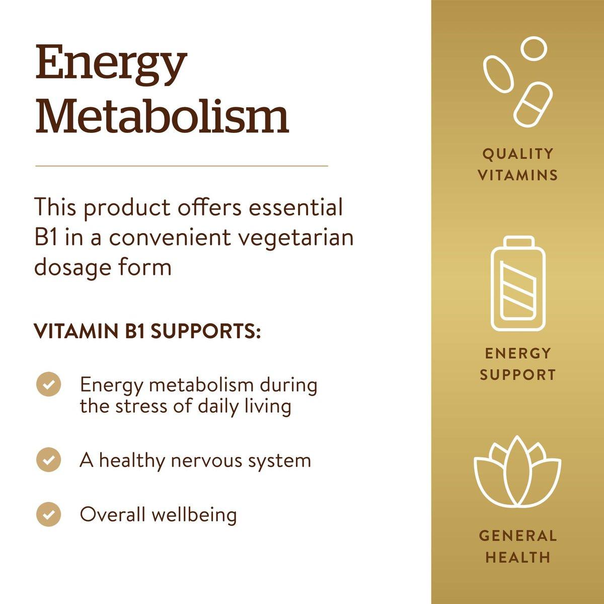 Solgar Vitamin B1 (Thiamin) 500 mg, 100 Tablets - Energy Metabolism, Healthy Nervous System, Overall Well-Being - Super Potency - Non-GMO, Vegan, Gluten Free, Dairy Free - 100 Servings - görsel 2