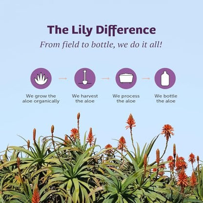 Lily of The Desert Stomach Formula, Organic Aloe Vera Juice with Slippery Elm, Chamomile, Peppermint, and Ginger for Gut Health, Acid Reflux, Heartburn Relief, 32 Oz, Gelly Sachet Included