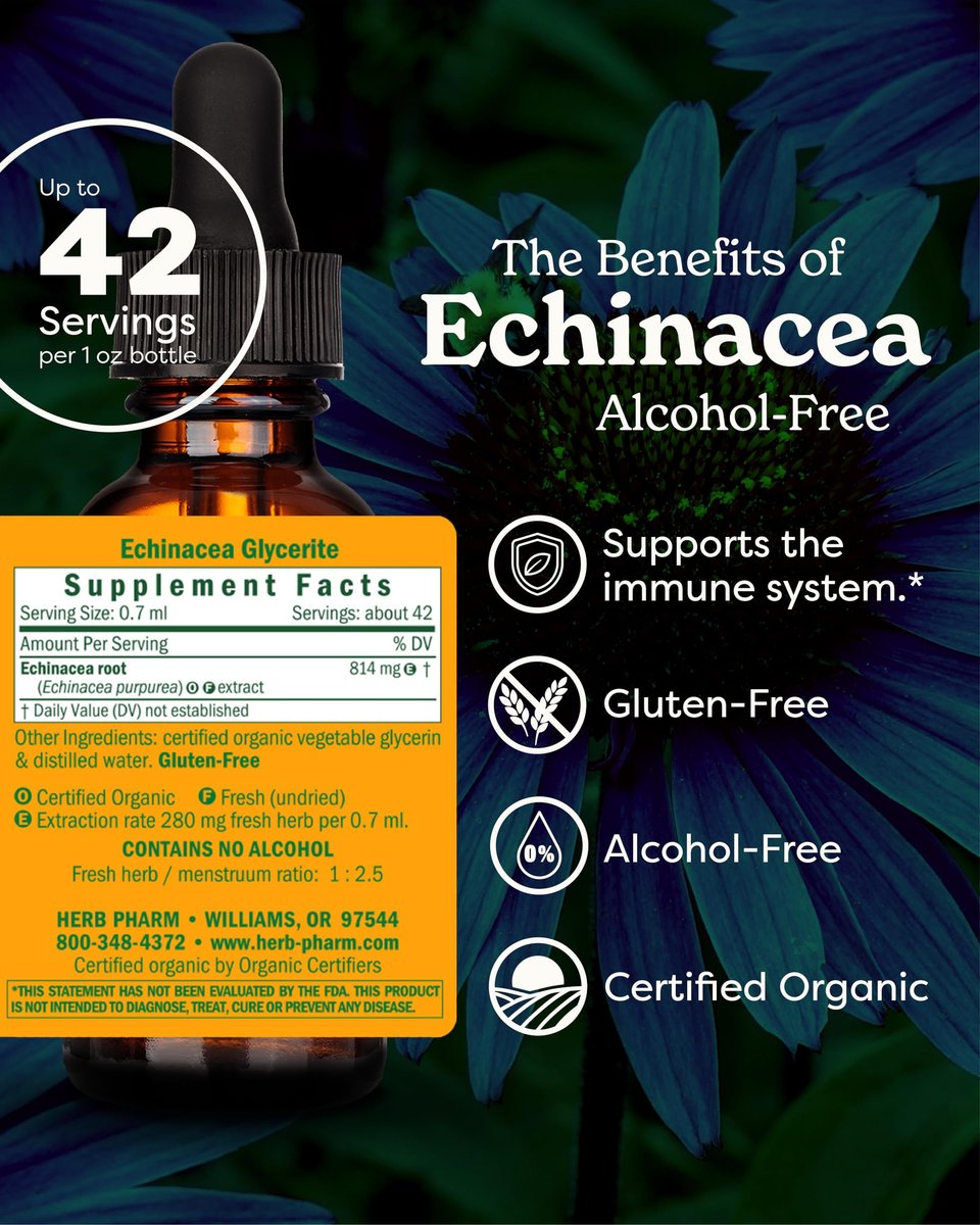 Herb Pharm Echinacea Alcohol-Free Extract: Immune System Support for All Seasons | Fast-Absorbing Echinacea Root Organic Supplement | Non-GMO, Vegan & Gluten-Free | Glycerite Liquid | 1 oz - görsel 3