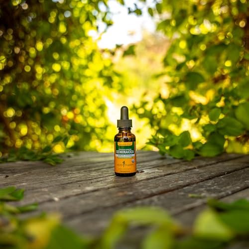 Herb Pharm Echinacea Alcohol-Free Extract: Immune System Support for All Seasons | Fast-Absorbing Echinacea Root Organic Supplement | Non-GMO, Vegan & Gluten-Free | Glycerite Liquid | 1 oz - görsel 16