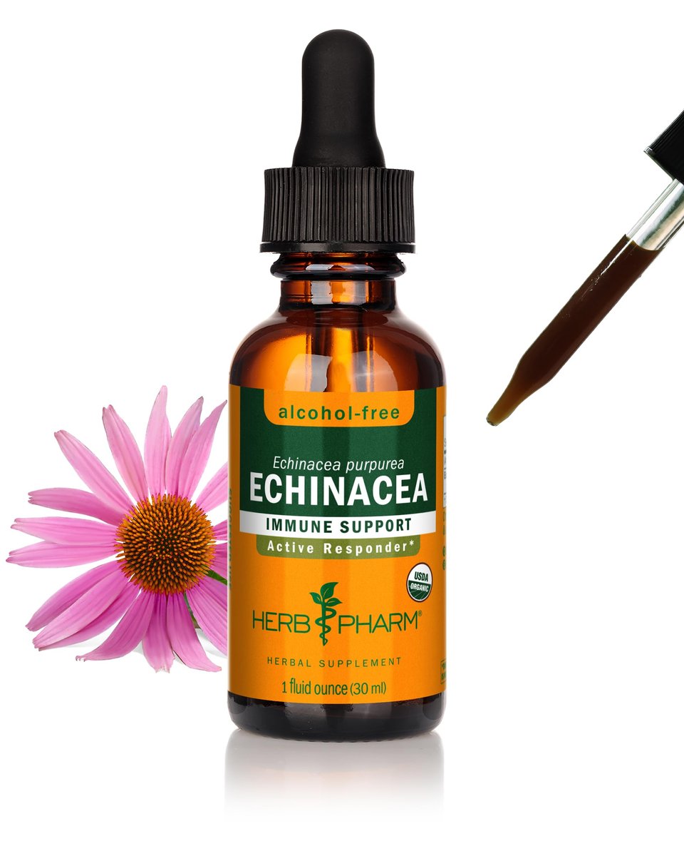 Herb Pharm Echinacea Alcohol-Free Extract: Immune System Support for All Seasons | Fast-Absorbing Echinacea Root Organic Supplement | Non-GMO, Vegan & Gluten-Free | Glycerite Liquid | 1 oz - görsel 1