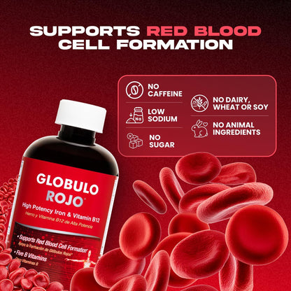 Globulo Rojo Iron Supplement - Liquid Dietary Supplement with High Potency Iron & B Vitamins (Vegan) (16 Fl Oz)