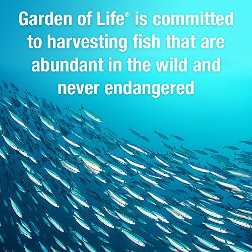 Garden of Life Oceans 3 Beyond Omega-3 with OmegaXanthin, EPA, DHA Supplements, Fish Oil with 1200 mg Omega 3, Astaxanthin & Brown Seaweed Extract - 60 Softgels - görsel 5