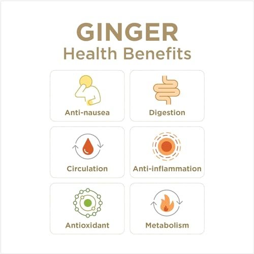 Ginger Soother Lemon & Honey Gingerade – Digestive Support, Sweetened only with Honey, Real Ingredients, Enjoy Hot or Cold - 32 Fl Oz Bottle (Pack of 1) - görsel 12