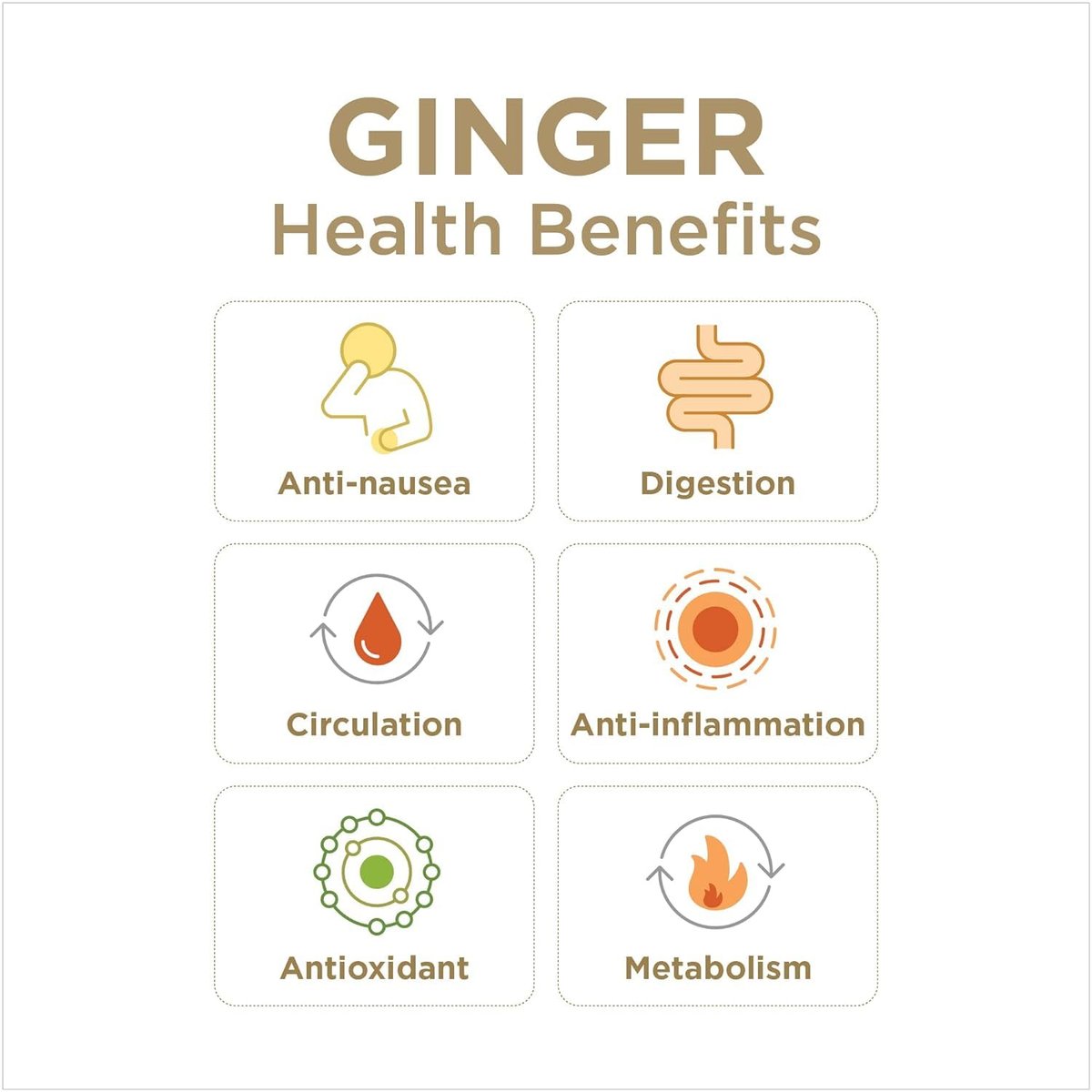 Ginger Soother Lemon & Honey Gingerade – Digestive Support, Sweetened only with Honey, Real Ingredients, Enjoy Hot or Cold - 32 Fl Oz Bottle (Pack of 1) - görsel 11