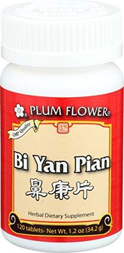 Plum Flower Chinese Tea Bi Yan Pian Tb, 120 Count - görsel 2