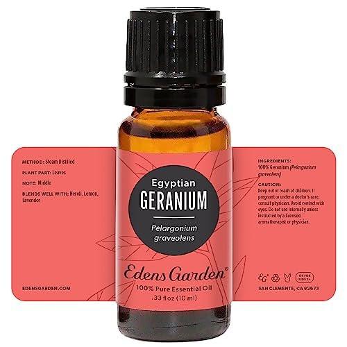 Edens Garden Geranium- Egyptian Essential Oil- 100% Pure Premium Grade, Undiluted, Natural, Therapeutic, Aromatherapy, The Best for Diffuser, Skin, Face, Hair 10 ml (.33 fl oz) - görsel 15