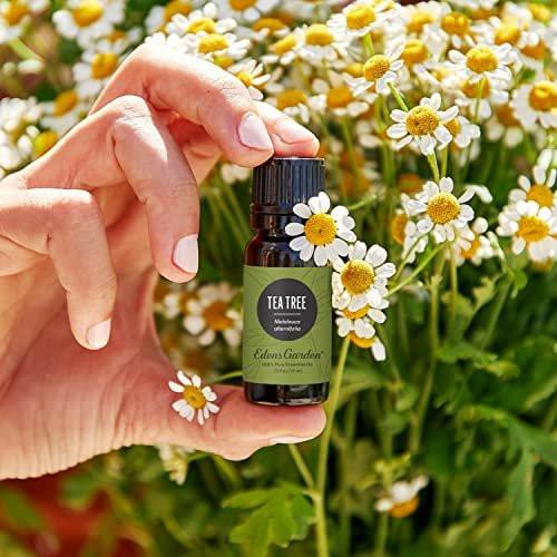Edens Garden Tea Tree Essential Oil - 100% Pure Premium Grade, Undiluted, Natural, Therapeutic, Aromatherapy, Best for Diffuser, Hair, Humidifiers, Kid Safe 10 ml (.33 fl oz) - görsel 4