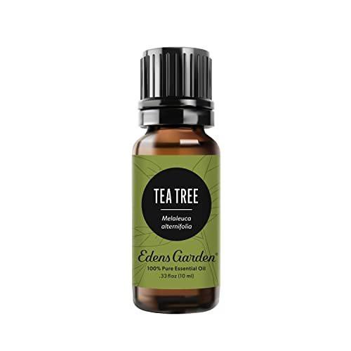 Edens Garden Tea Tree Essential Oil - 100% Pure Premium Grade, Undiluted, Natural, Therapeutic, Aromatherapy, Best for Diffuser, Hair, Humidifiers, Kid Safe 10 ml (.33 fl oz) - görsel 2