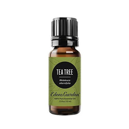 Edens Garden Tea Tree Essential Oil - 100% Pure Premium Grade, Undiluted, Natural, Therapeutic, Aromatherapy, Best for Diffuser, Hair, Humidifiers, Kid Safe 10 ml (.33 fl oz)