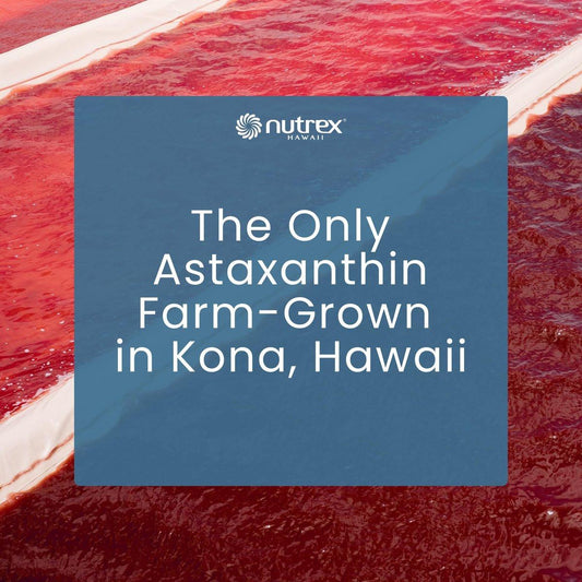 Nutrex Hawaii BioAstin Hawaiian Astaxanthin - 4mg Customizable Dosage, 60 Softgels - Antioxidant Support for Skin & Immune Health - Premium Microalgae Grown in Kona, Hawaii - Non-GMO & Gluten-Free