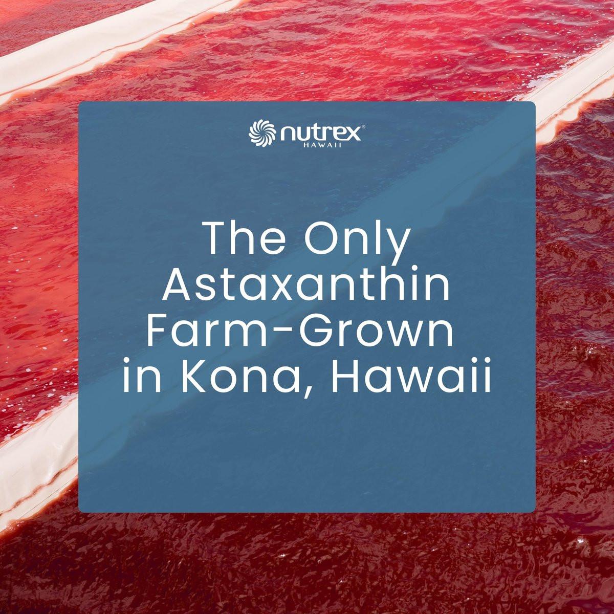 Nutrex Hawaii BioAstin Hawaiian Astaxanthin - 4mg Customizable Dosage, 60 Softgels - Antioxidant Support for Skin & Immune Health - Premium Microalgae Grown in Kona, Hawaii - Non-GMO & Gluten-Free - görsel 15