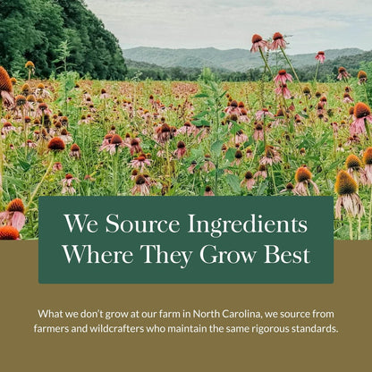 Gaia Herbs Ashwagandha Root - Stress Relief & Sleep Support Supplement - Supports Balanced Energy Levels & Positive Outlook* - 60 Vegan Liquid Phyto-Caps (30 Servings)