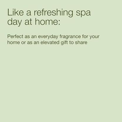 Bath & Body Works Eucalyptus Spearmint – High-Quality Glass Jar: Housed in a sturdy, reusable glass jar with a – Image 4
