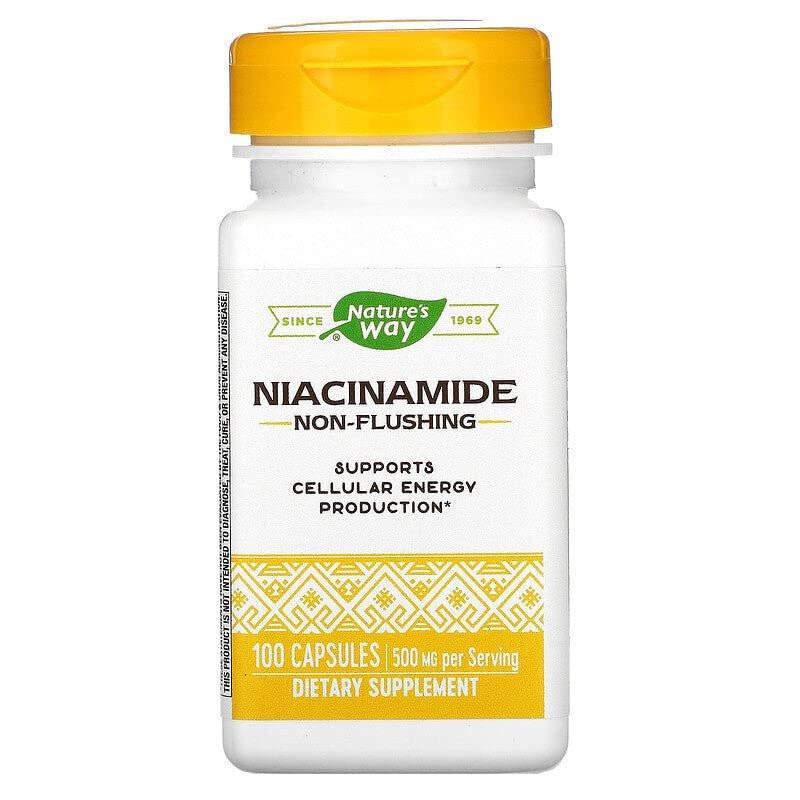 Nature's Way Niacinamide 500 mg, 100 Capsules - Vitamin B3 Supplement for Skin & Joint Health - görsel 1