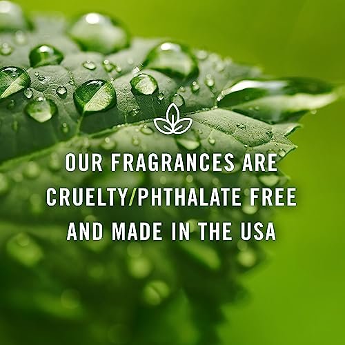 P&J Fragrance Oil - Pear Oil 30ml - Candle Scents, Soap Making, Diffuser Oil, Fresh Scent - görsel 1