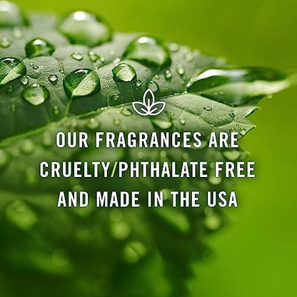 P&J Fragrance Oil - Pear Oil 30ml - Candle Scents, Soap Making, Diffuser Oil, Fresh Scent