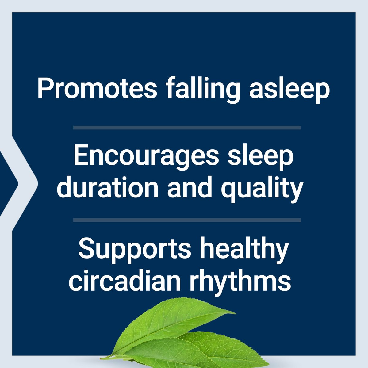 Life Extension Melatonin 6 Hour Timed Release, 750 mcg, Extended-Release Formula for Gentle Sleep Support, Healthy Circadian Rhythms, Cellular Defense, Gluten-Free, Non-GMO, Vegetarian, 60 Tablets - görsel 7