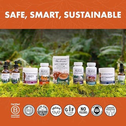 Host Defense Cordyceps Capsules – Immune & Energy Support Supplement – Kidney Health Supplement with Cordyceps – Fitness Support Supplement to Aid Oxygen Uptake – 30 Capsules (15 Servings)