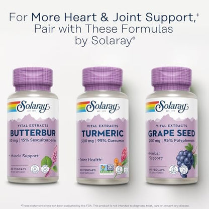 SOLARAY Turmeric Supplement 300 mg - Turmeric Root Extract with 95% Curcumin - Joint Support Supplement for Joint Health and Comfort - Non-GMO, Vegan, Gluten Free, 60-Day Guarantee, 60 Servings