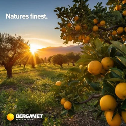 BergaMet Citrus Bergamot Supplement, 170:1 Extract, 1200mg, 80% Polyphenols, Italian Citrus Bergamot Supplement, 60 Capsules, 1 Month, Made in the USA