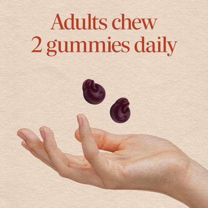 Nature's Way CranRx Cranberry Gummies, Urinary Tract Health and Antioxidant Support,* with Vitamin C, D-Mannose, Bioactive Cranberry Fruit Dietary Supplement, Berry Flavor, 60 Gummies