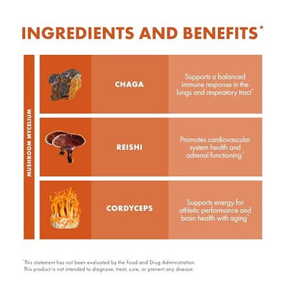 Host Defense Breathe* Capsules - Immune & Respiratory Support Mushroom Supplement - Herbal Lung Health Supplement with Chaga, Reishi & Cordyceps - 60 Capsules (30 Servings)*