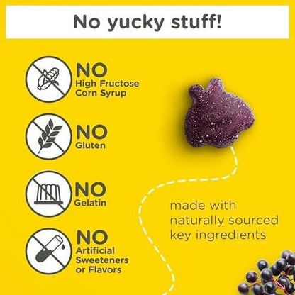 Zarbee’s Elderberry Gummies for Kids, Immune Support Supplement with Vitamins A, C, D3, E, & Zinc, Gluten & Gelatin Free, No Artificial Flavors, Natural Berry Flavor, Ages 2+, 42 ct