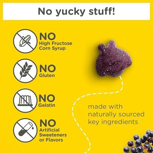 Zarbee’s Elderberry Gummies for Kids, Immune Support Supplement with Vitamins A, C, D3, E, & Zinc, Gluten & Gelatin Free, No Artificial Flavors, Natural Berry Flavor, Ages 2+, 42 ct - görsel 10