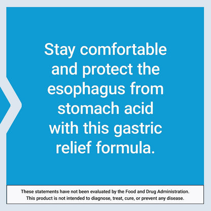 Life Extension Esophageal Guardian - Alginic Acid & Potassium Bicarbonate for Long-Lasting Gastric Relief - 60 Vegetarian Chewable Tablets