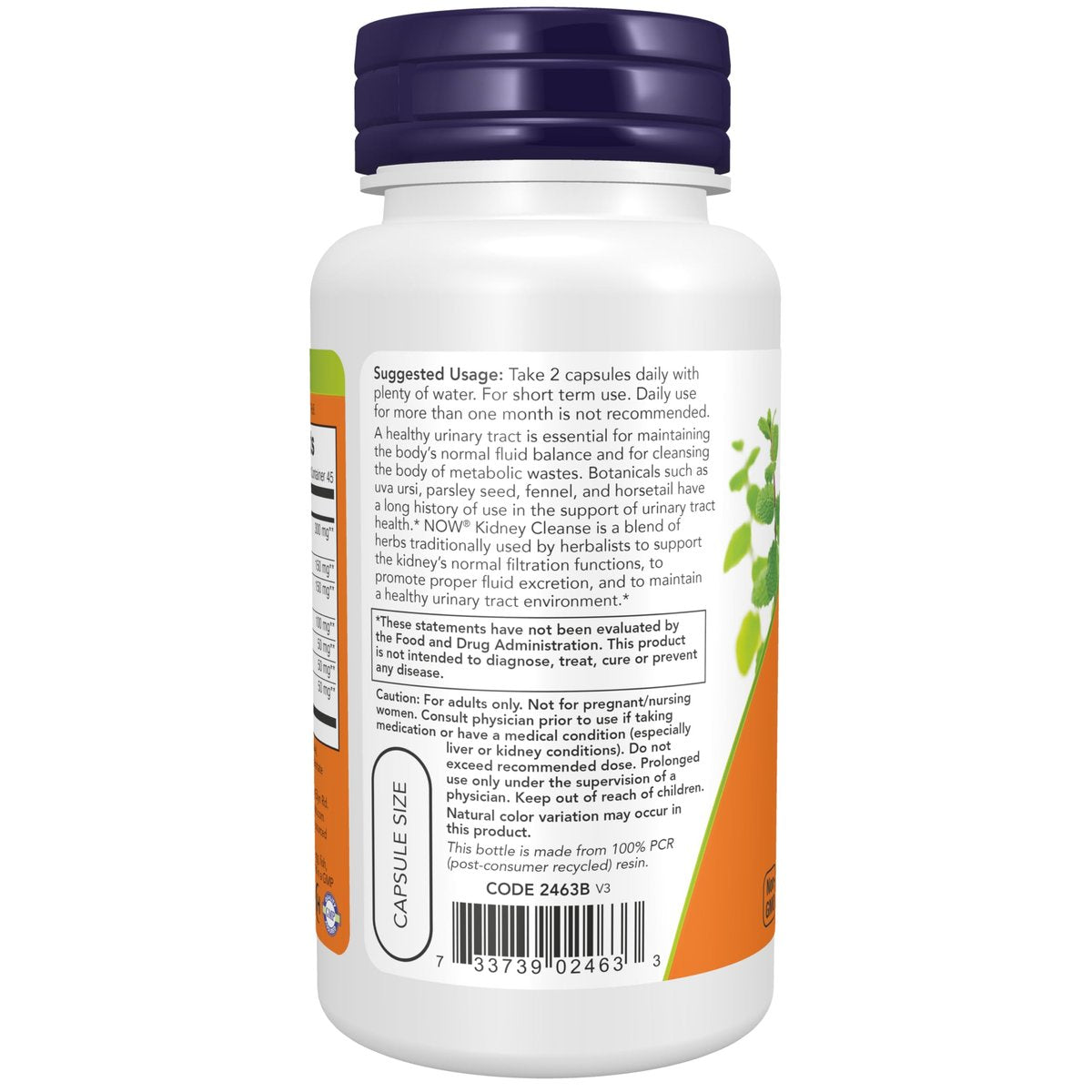 NOW Supplements, Kidney Cleanse with Uva Ursi, Parsley Seed, Fennel, and Horsetail, 90 Veg Capsules - görsel 5