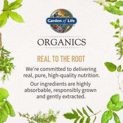 Garden of Life Organics Fair Trade Gelatinized Peruvian Maca Root Energy Boost 7.93 oz (225g) Powder with Probiotics, Certified Organic, Non-GMO, Vegan & Gluten Free Herbal Supplements