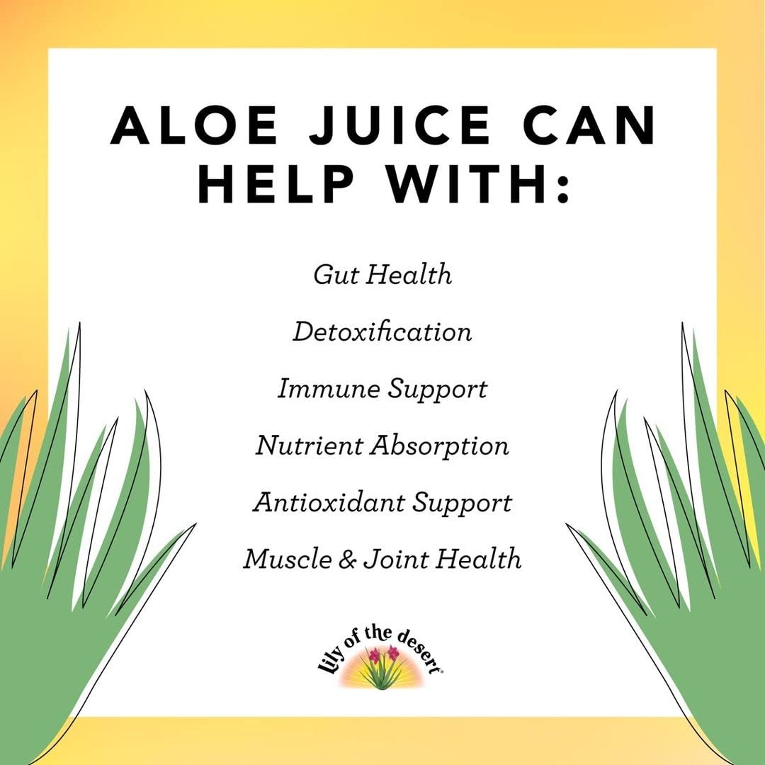 Lily of the Desert Aloe Vera Juice, Whole Leaf Filtered 2-Pack, Organic & Preservative Free – Natural Vitamins, Digestive Enzymes for Gut Health, Glowing Skin & Wellness, 16 Fl Oz Ea - görsel 13