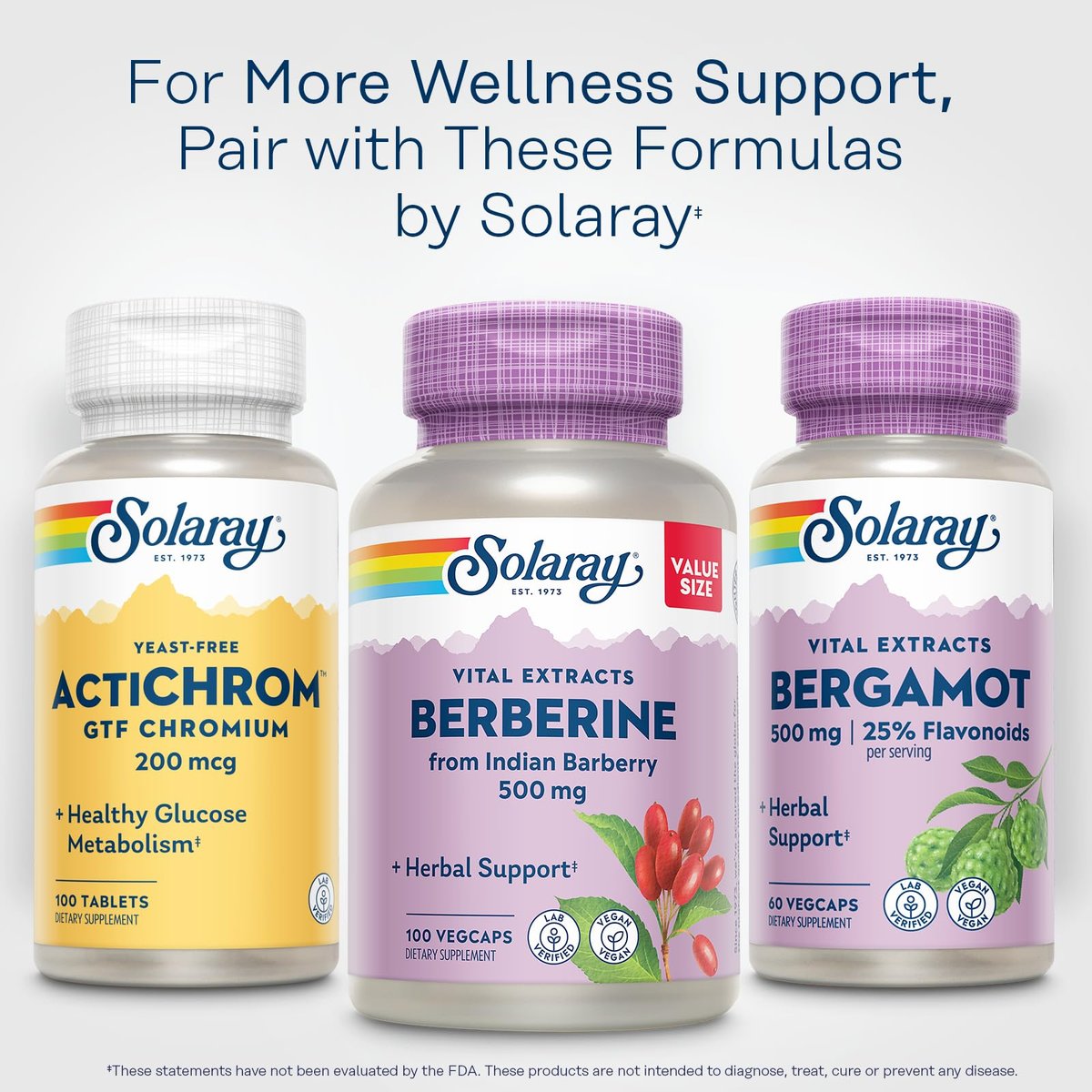 SOLARAY Bergamot 500 mg - Citrus Bergamot Supplement for an Active Lifestyle - Standardized to 25% Flavonoids - with Berberine HCl from Indian Barberry - Vegan, 60-Day Guarantee, 30 Serv, 60 VegCaps - görsel 3