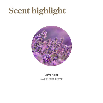 Young Living Lavender Essential Oil – 5 ml for Skin Care, Massage & Aromatherapy