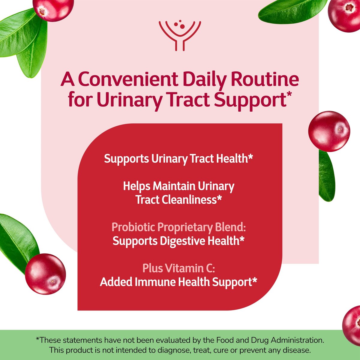 21st Century Cranberry Plus Probiotic Tablets, 60 Count - görsel 5