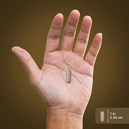 Piping Rock Lions Mane Supplement Capsules | – Gluten Free: This product is free from gluten, making it safe for – Image 4