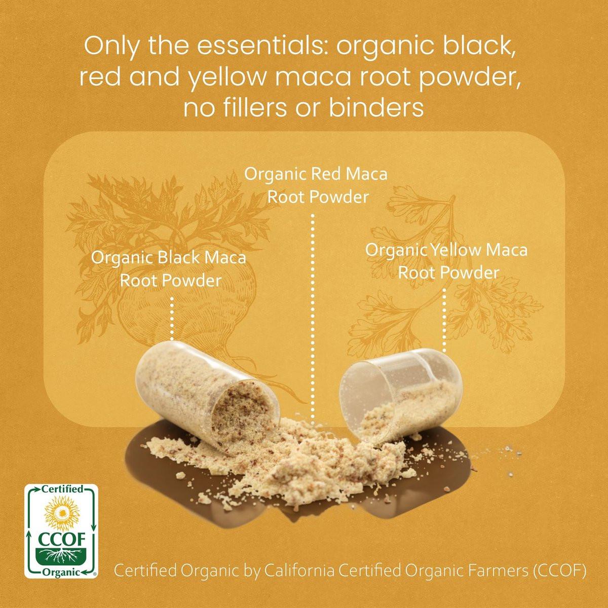NaturaLife Labs Organic Maca Root – Black, Red & Yellow – 1900 mg per Serving – 150 Capsules – Gelatinized Peruvian Maca – Non-GMO, Gluten-Free, Vegan - görsel 5