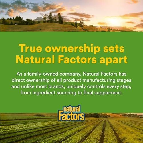 Natural Factors Chewable Ginger 500 mg, 90 Count - Digestive Support & Nausea Relief - görsel 14