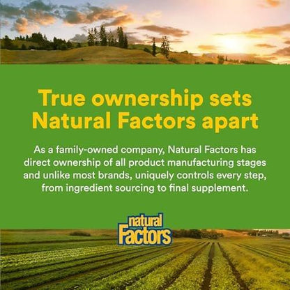 Natural Factors Chewable Ginger 500 mg, 90 Count - Digestive Support & Nausea Relief