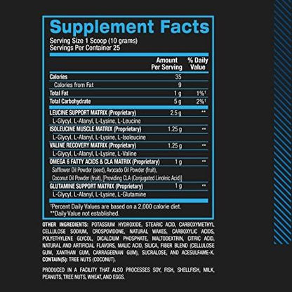 BPI Sports Best Aminos - BCAA Powder Post Workout & Glutamine Recovery Drink with Branched Chain Amino Acids for Hydration & Recovery, for Men & Women - Arctic Ice - 25 Servings
